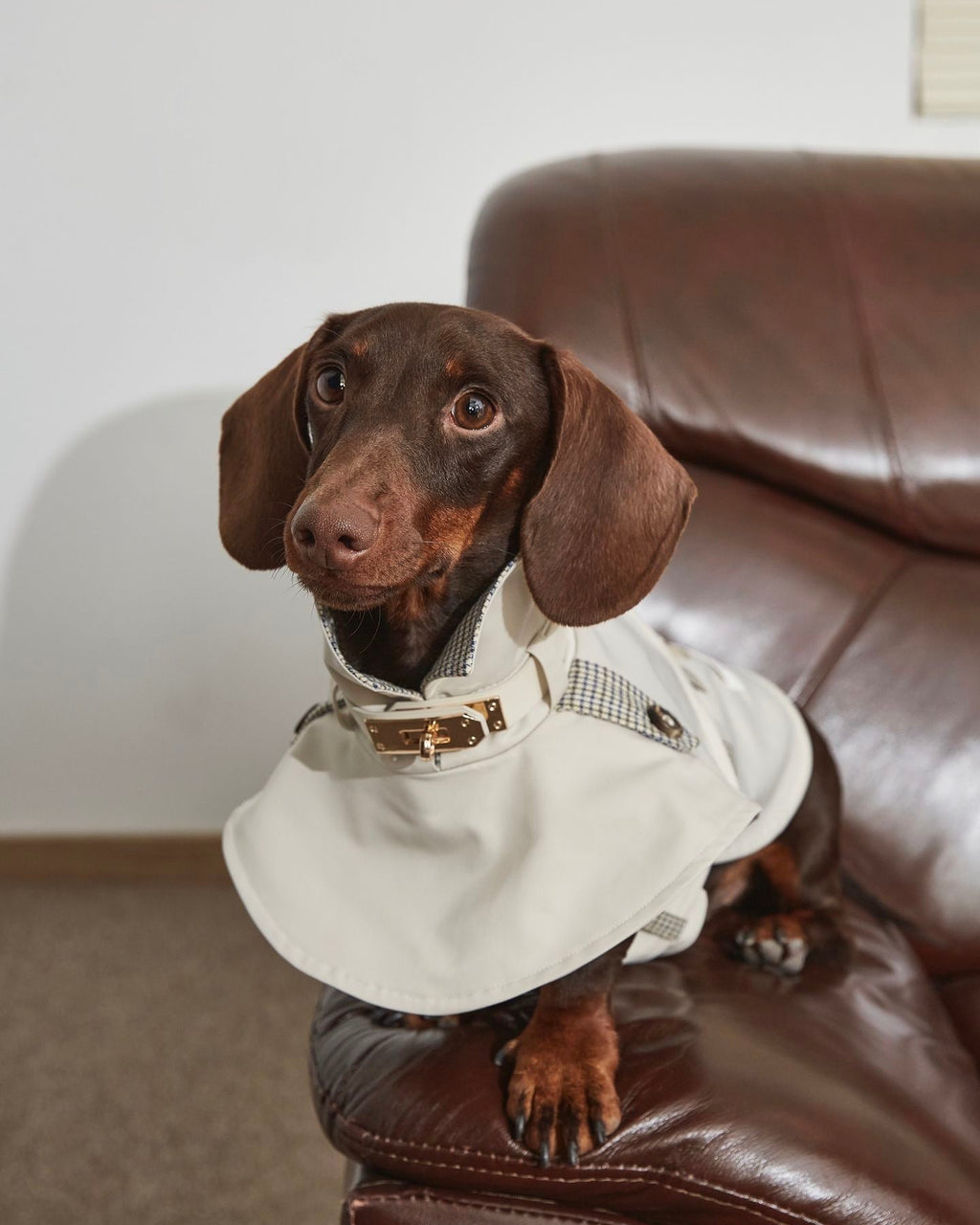 Dachshund Trenchcoat, Khakifarbener karierter Hunde-Regenmantel, winddichte Haustierjacke für langrückige Hunde