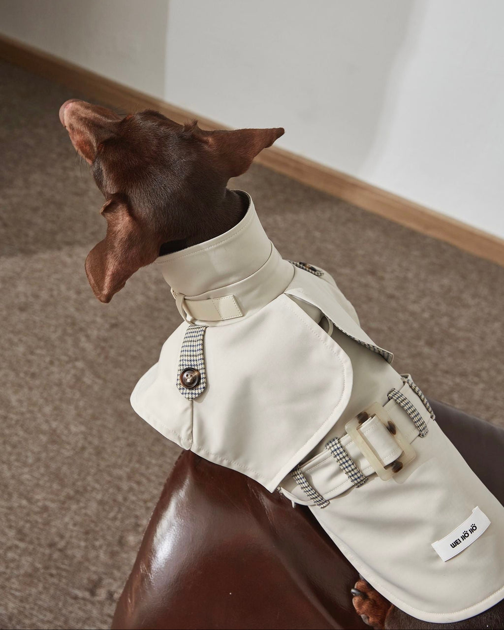 Dachshund Trenchcoat, Khakifarbener karierter Hunde-Regenmantel, winddichte Haustierjacke für langrückige Hunde