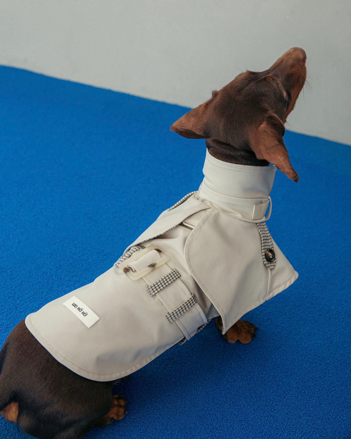 Dachshund Trenchcoat, Khakifarbener karierter Hunde-Regenmantel, winddichte Haustierjacke für langrückige Hunde