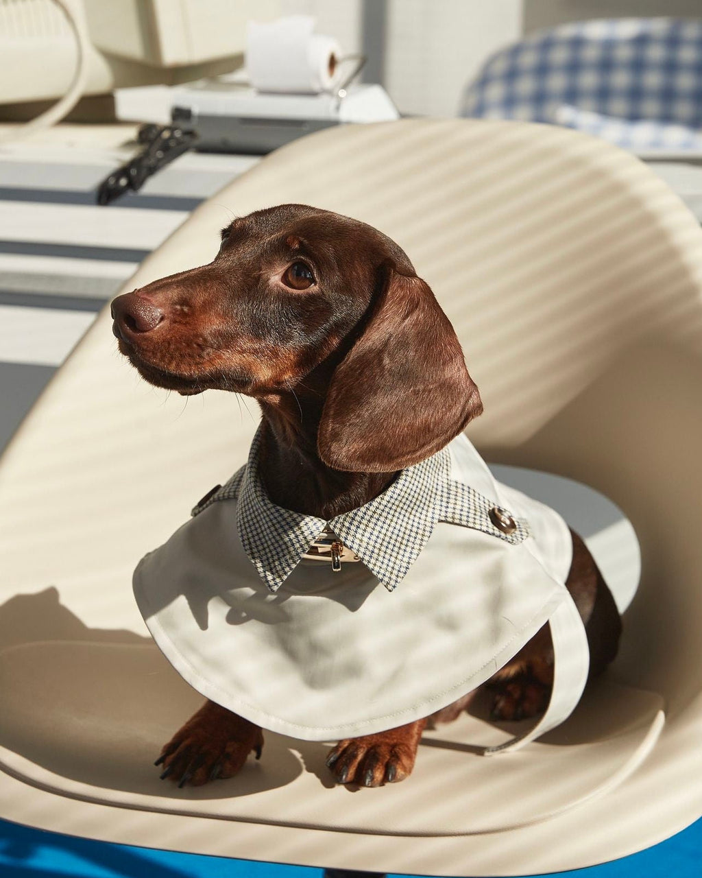 Dachshund Trenchcoat, Khakifarbener karierter Hunde-Regenmantel, winddichte Haustierjacke für langrückige Hunde