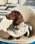 Dachshund Trenchcoat, Khakifarbener karierter Hunde-Regenmantel, winddichte Haustierjacke für langrückige Hunde