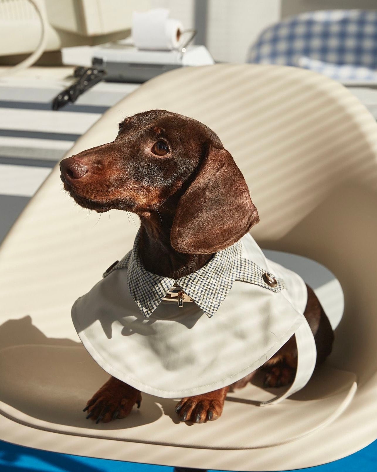Dachshund Trenchcoat, Khakifarbener karierter Hunde-Regenmantel, winddichte Haustierjacke für langrückige Hunde