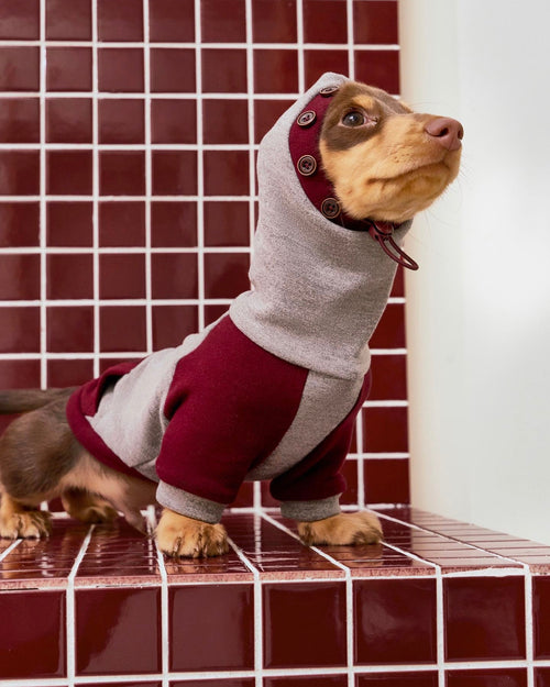 The Button-Detailed Snood Hoodie | Wine Edition