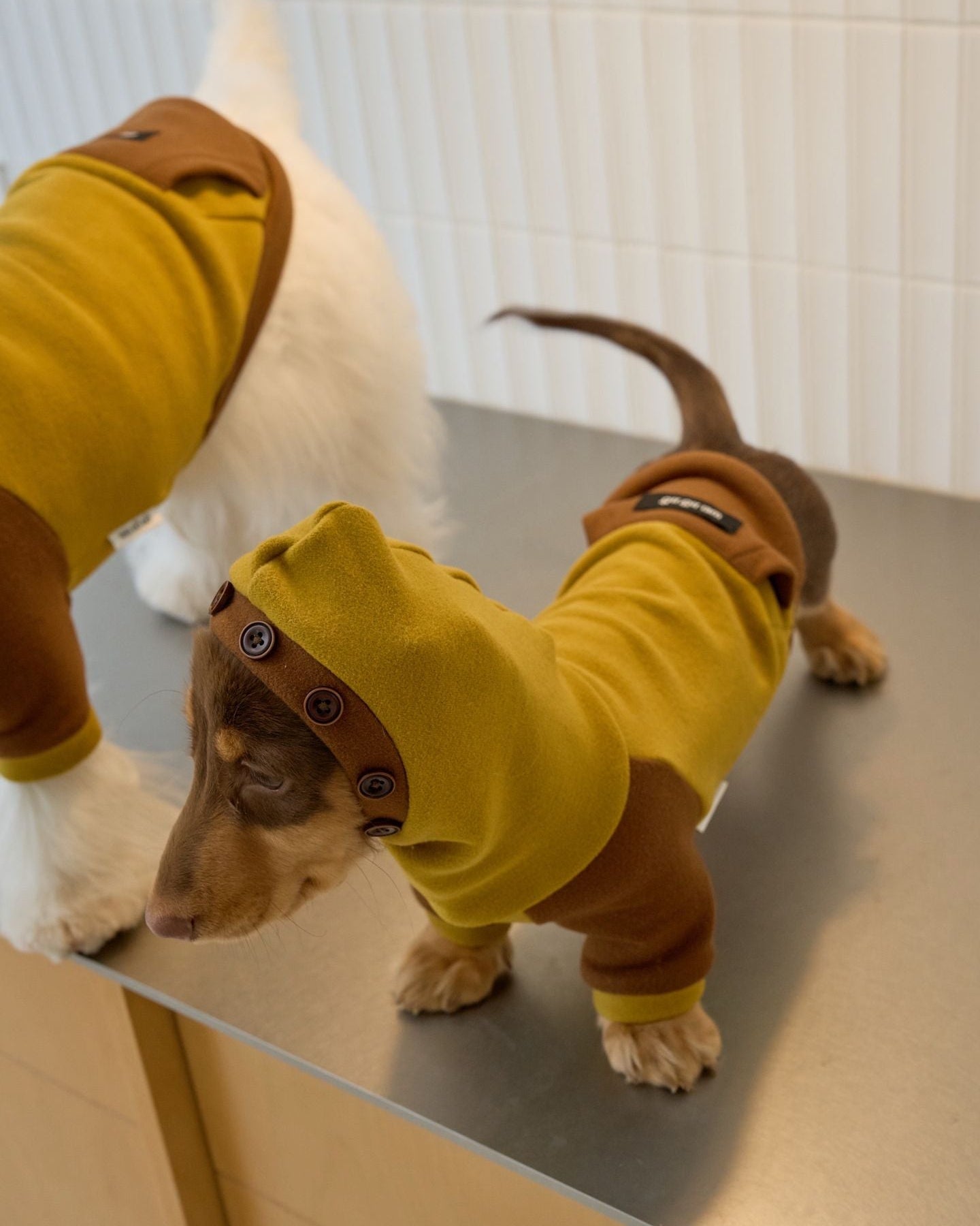 Sweat à capuche en molleton pour teckel, grenouillère pour chien color block moutarde et marron, pyjama chaud d'hiver pour chiens à corps long