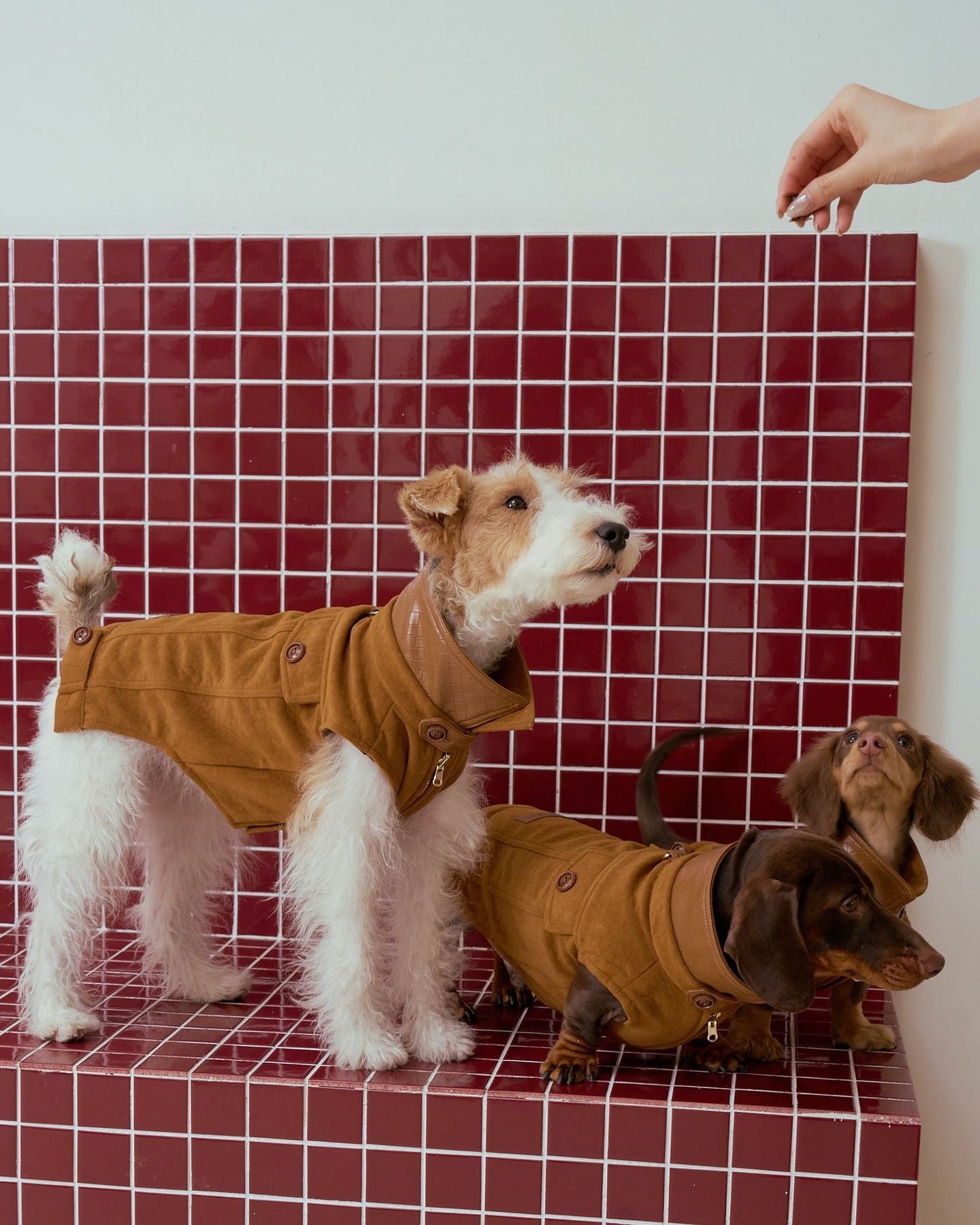 The Reversible Suede & Utility Vest | Tobacco Brown