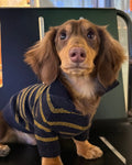 The Varsity Stripe Polo Sweater | Navy