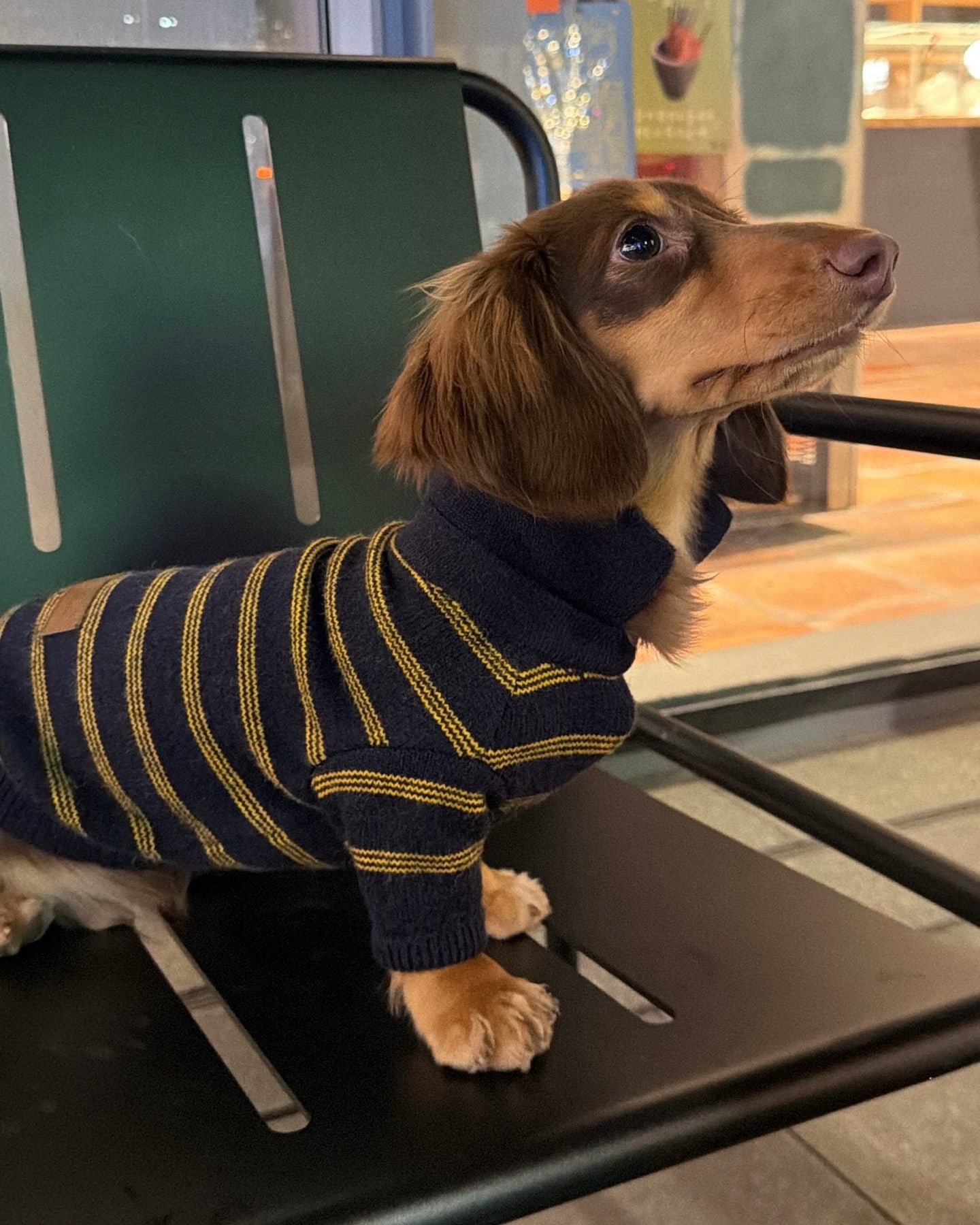 The Varsity Stripe Polo Sweater | Navy
