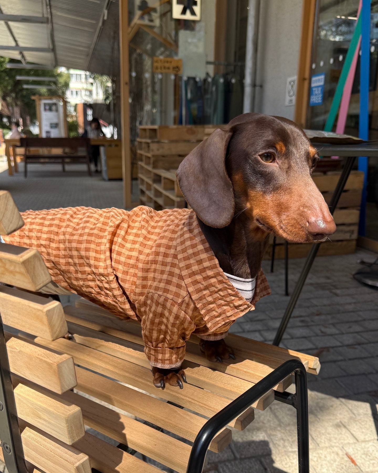 The Textured Plaid Button-Down | Premium Cotton Knit