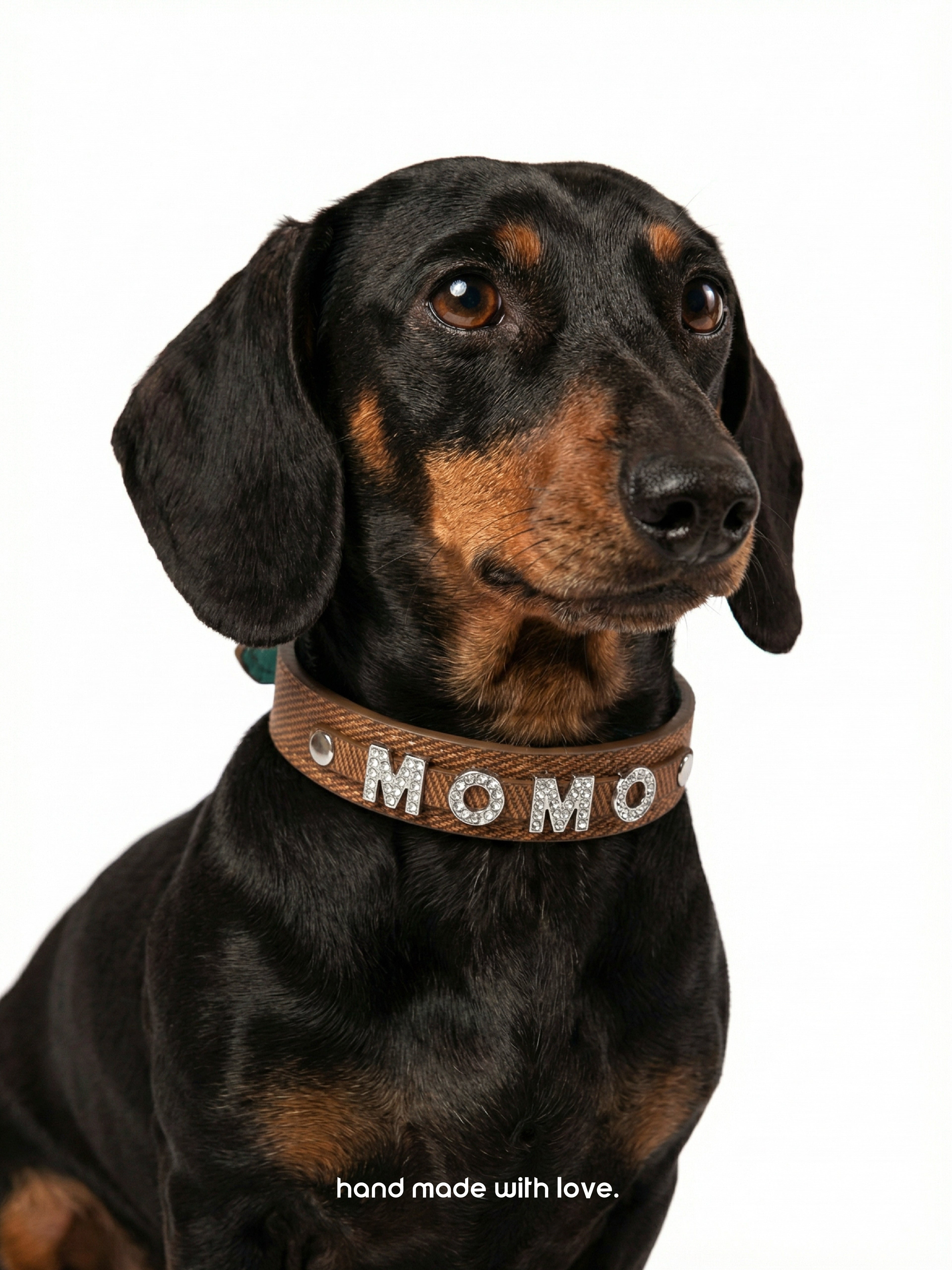 Customizable Dachshund Nameplate Chain Necklace | Personalized Gold Flat Link Collar | Bespoke Pet Identity Jewelry