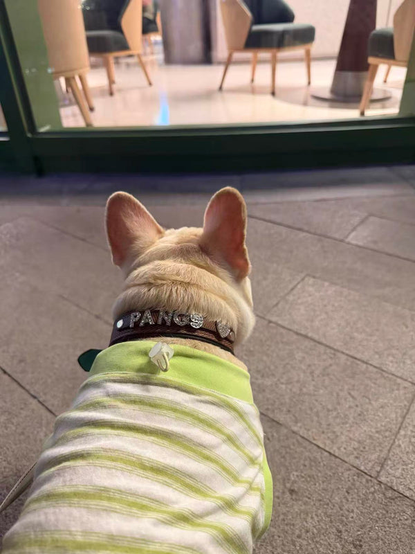 Customer photo