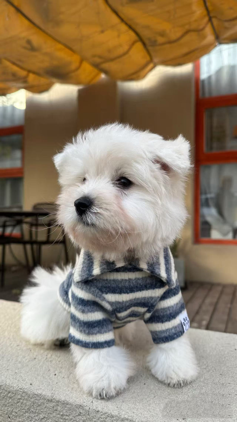 买家秀