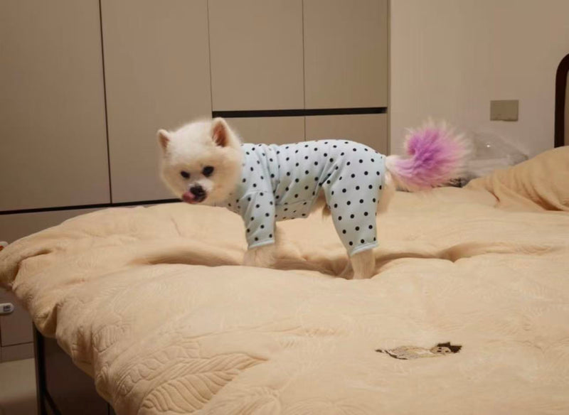买家秀