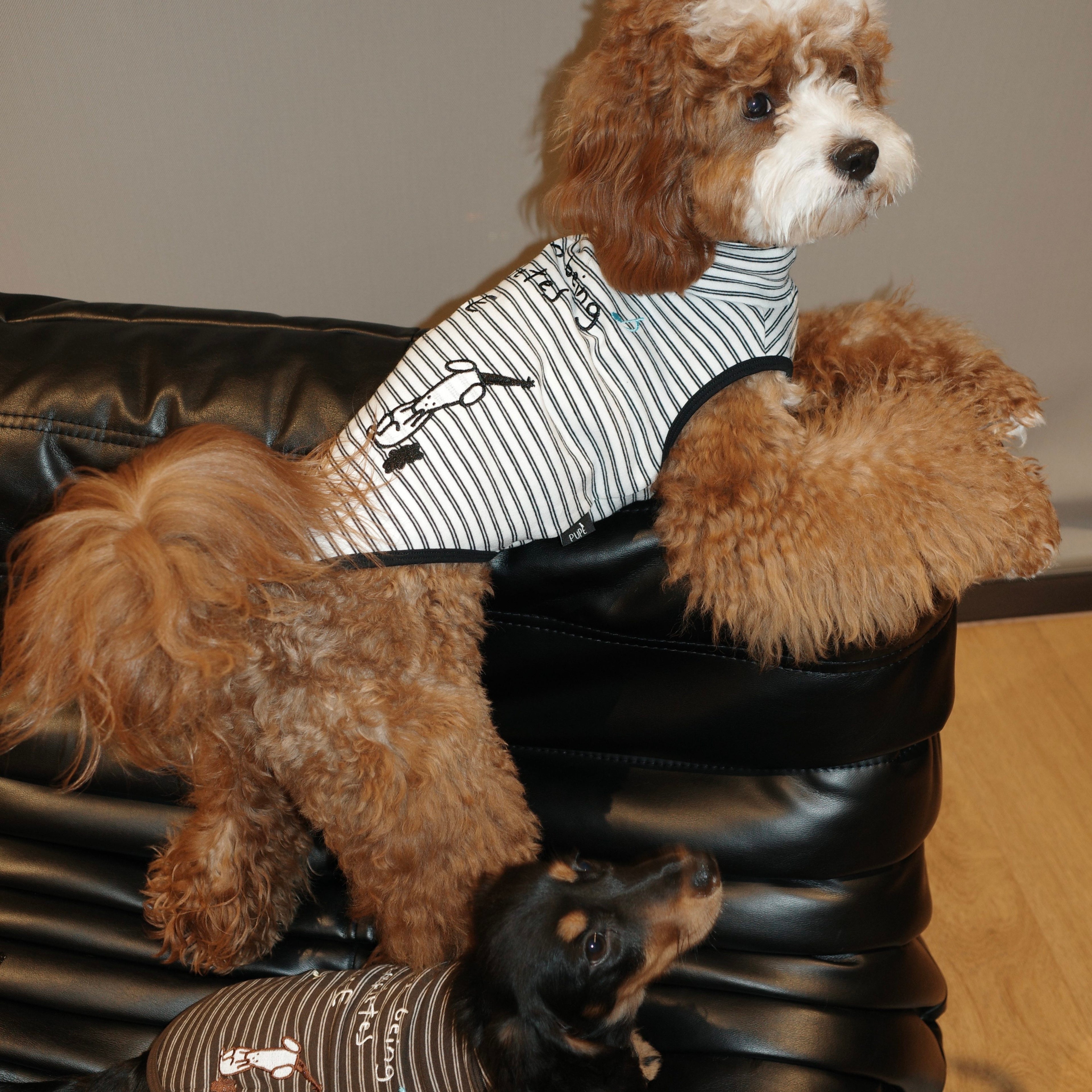 The Soulmate Embroidered Micro-Stripe Knit Vest