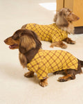 The Ivy League Checkered Zip Shirt