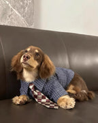 The Executive Prep Collared Shirt & Tie Set