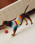 Maglione a Collo Alto a Righe Retro
