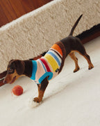 Maglione a Collo Alto a Righe Retro