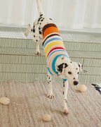 Maglione a Collo Alto a Righe Retro