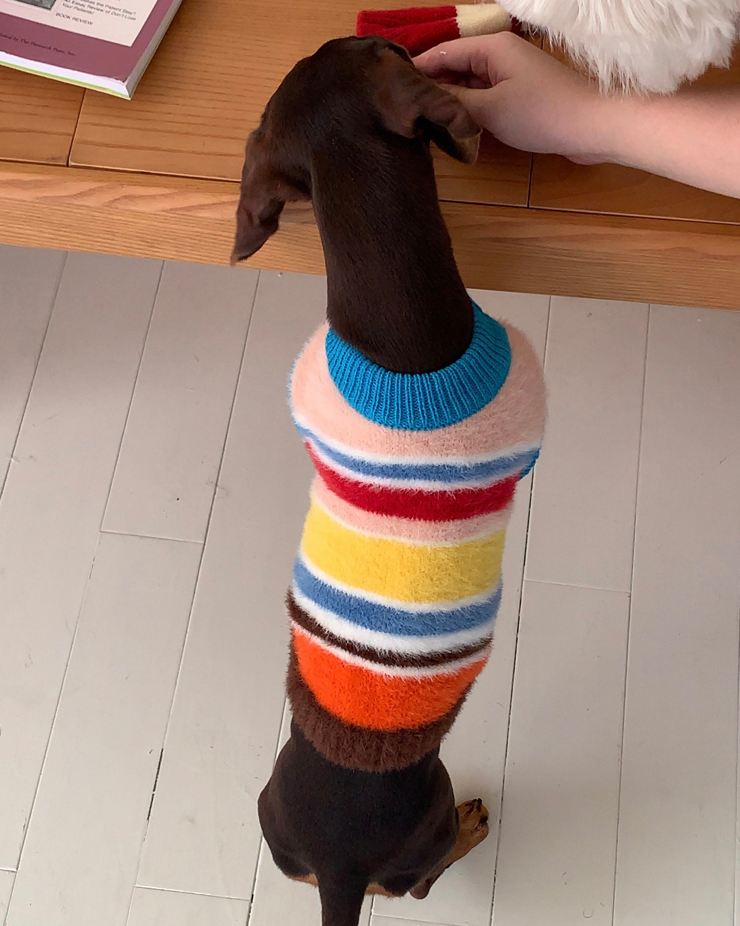 Maglione a Collo Alto a Righe Retro