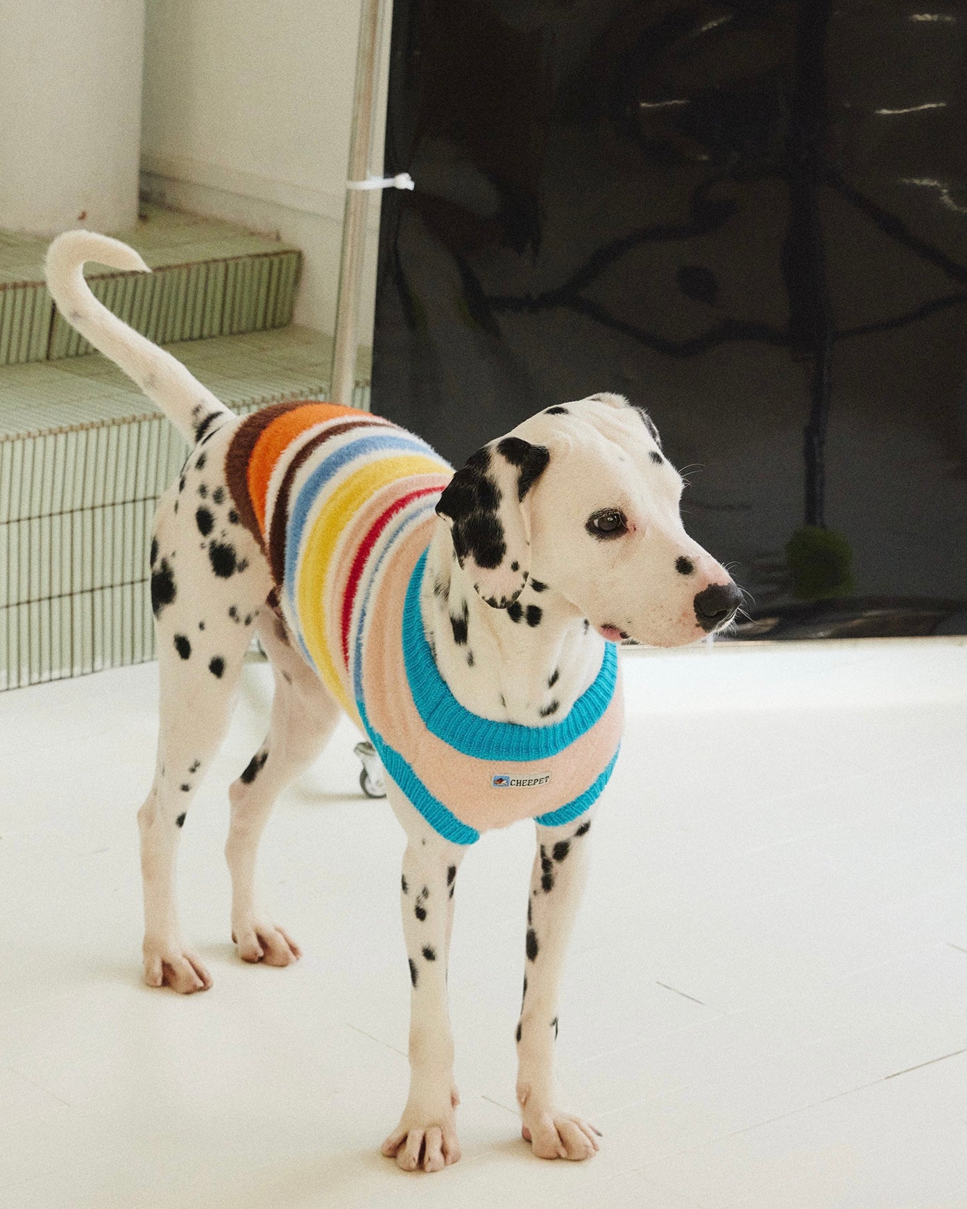 Maglione a Collo Alto a Righe Retro