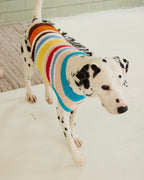 Maglione a Collo Alto a Righe Retro