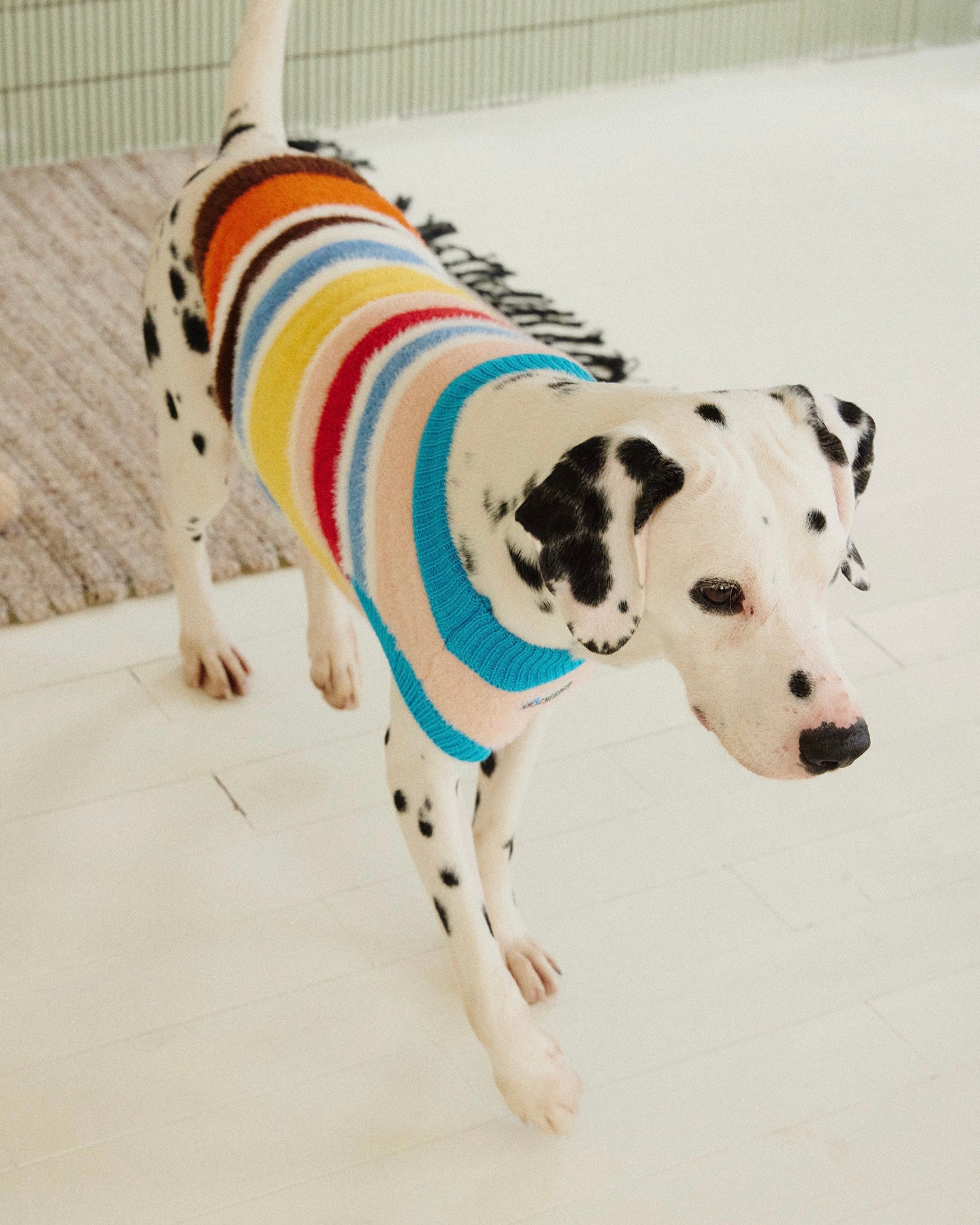Maglione a Collo Alto a Righe Retro