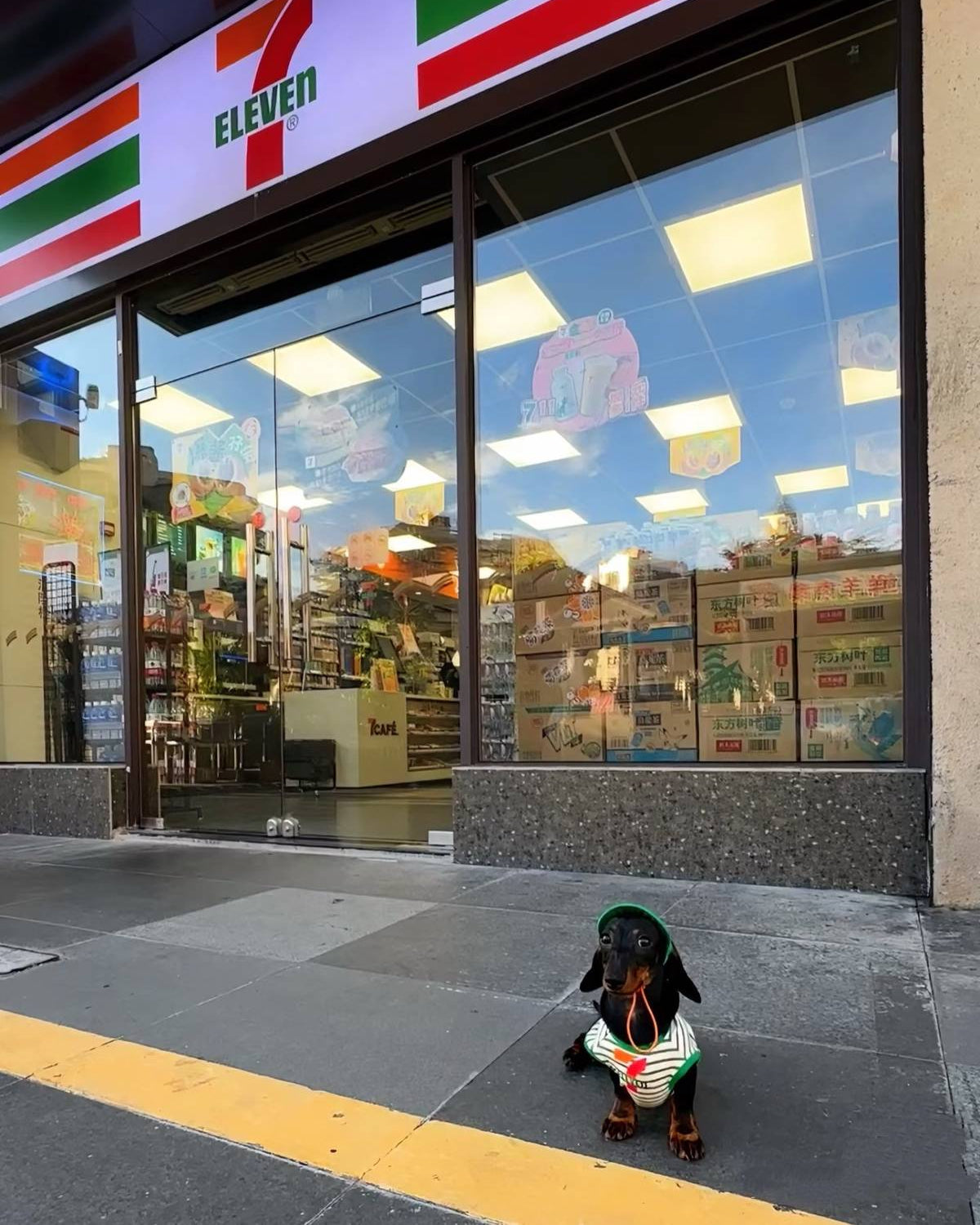 The "ELEVEN" Convenience Store Pet Vest & Hat Set