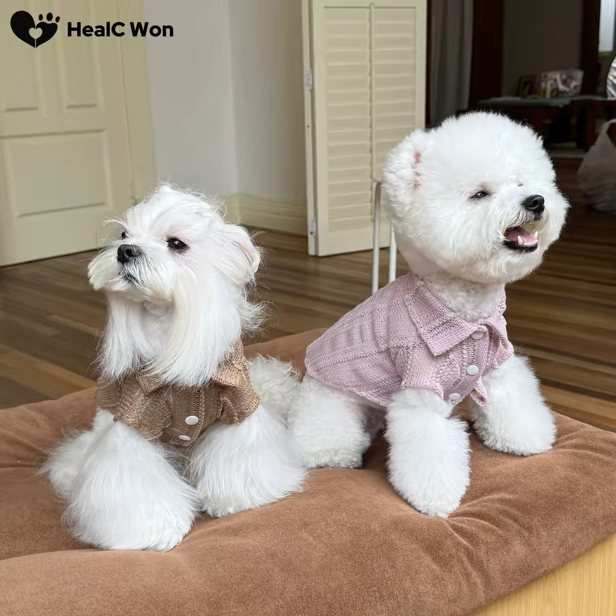 Open-Knit Collared Dog Shirt