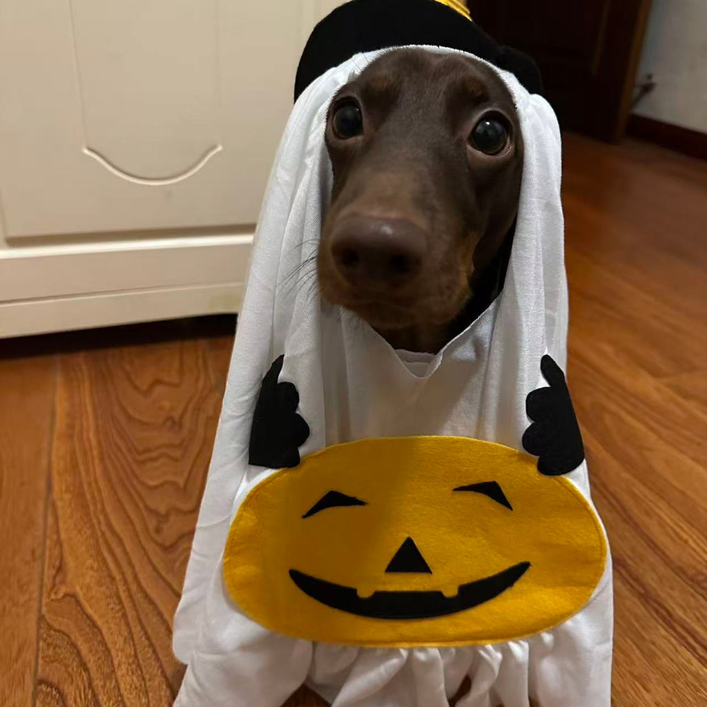 Halloween Ghost Dog Costume with Witch Hat & Pumpkin Detail