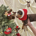 Christmas Santa Dog Knit Hat - Dapper Weenie Co