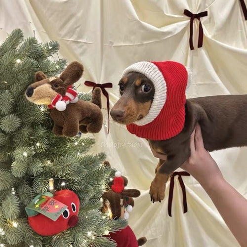 Christmas Santa Dog Knit Hat - Dapper Weenie Co