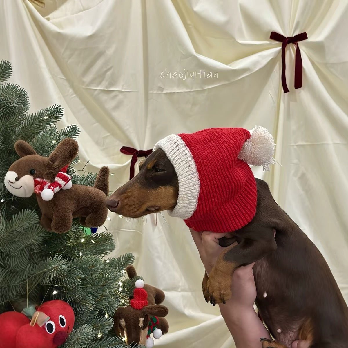 Christmas Santa Dog Knit Hat - Dapper Weenie Co