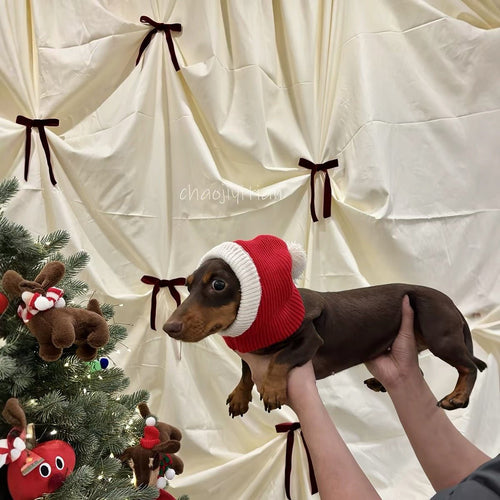 Christmas Santa Dog Knit Hat - Dapper Weenie Co