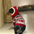Christmas Santa Dog Knit Hat - Dapper Weenie Co