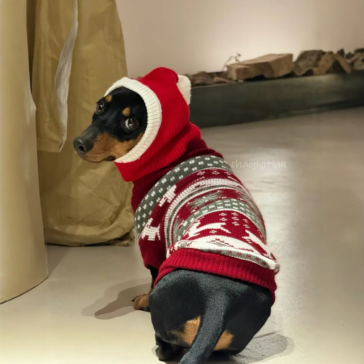 Christmas Santa Dog Knit Hat - Dapper Weenie Co