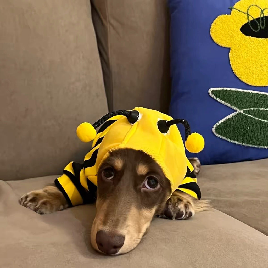 Cute Bumblebee Dachshund & Small Dog Hoodie Costume - Dapper Weenie Co
