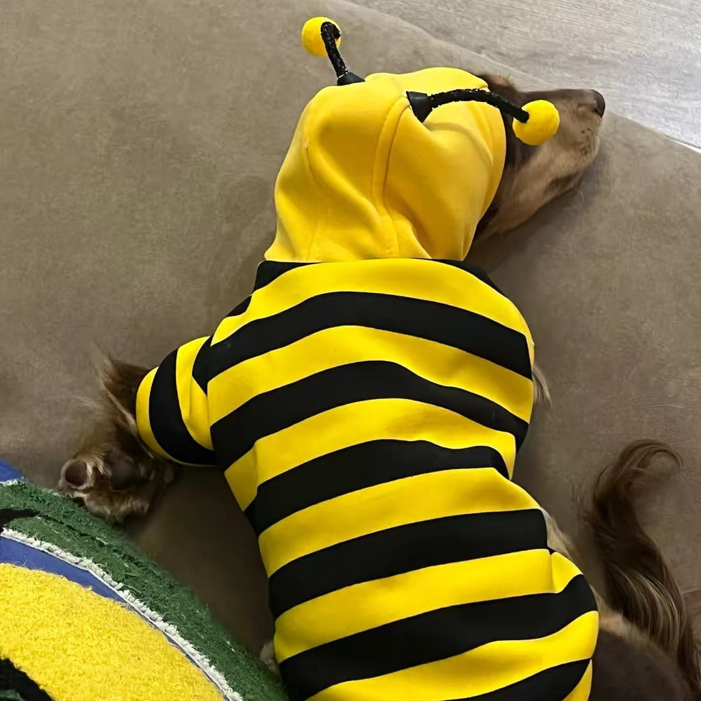 Cute Bumblebee Dachshund & Small Dog Hoodie Costume - Dapper Weenie Co