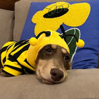 Cute Bumblebee Dachshund & Small Dog Hoodie Costume - Dapper Weenie Co