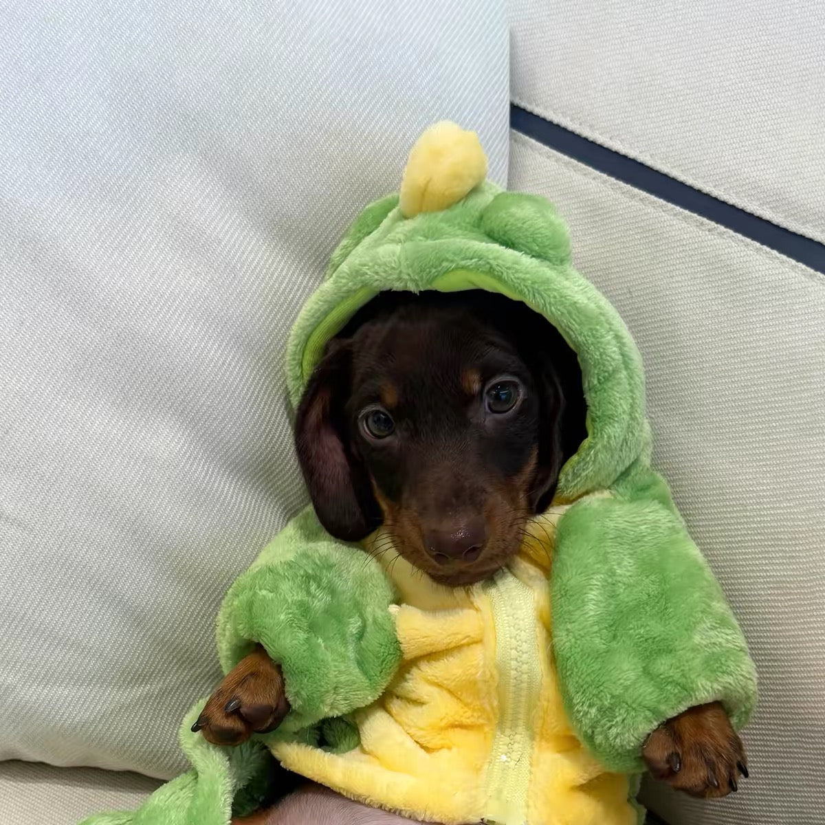 Cute Green Dinosaur Plush Dog Jumpsuit with Hood - Dapper Weenie Co