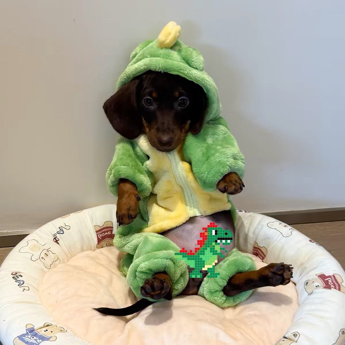 Cute Green Dinosaur Plush Dog Jumpsuit with Hood - Dapper Weenie Co