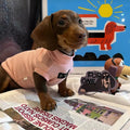 Dusty Pink Waffle Knit Dog Vest Shirt - Dapper Weenie Co