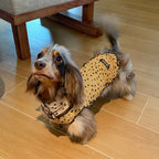French Vintage Polka Dot Dog Shirt - Dapper Weenie Co