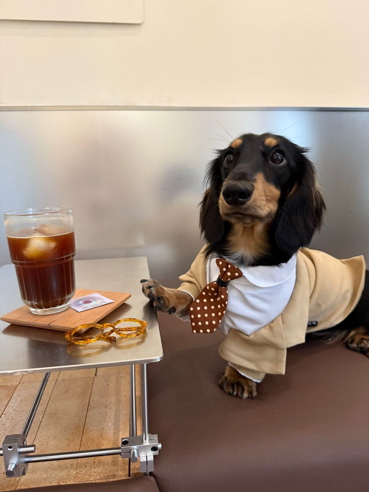 Gentleman Pet Suit Outfit with Shirt Collar & Tie - Dapper Weenie Co