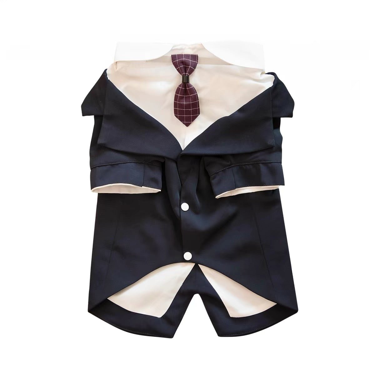 Gentleman Pet Suit Outfit with Shirt Collar & Tie - Dapper Weenie Co
