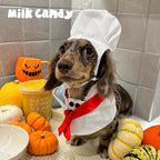 Little Chef Dog Costume Set - White Chef Hat & Apron Bib - Dapper Weenie Co