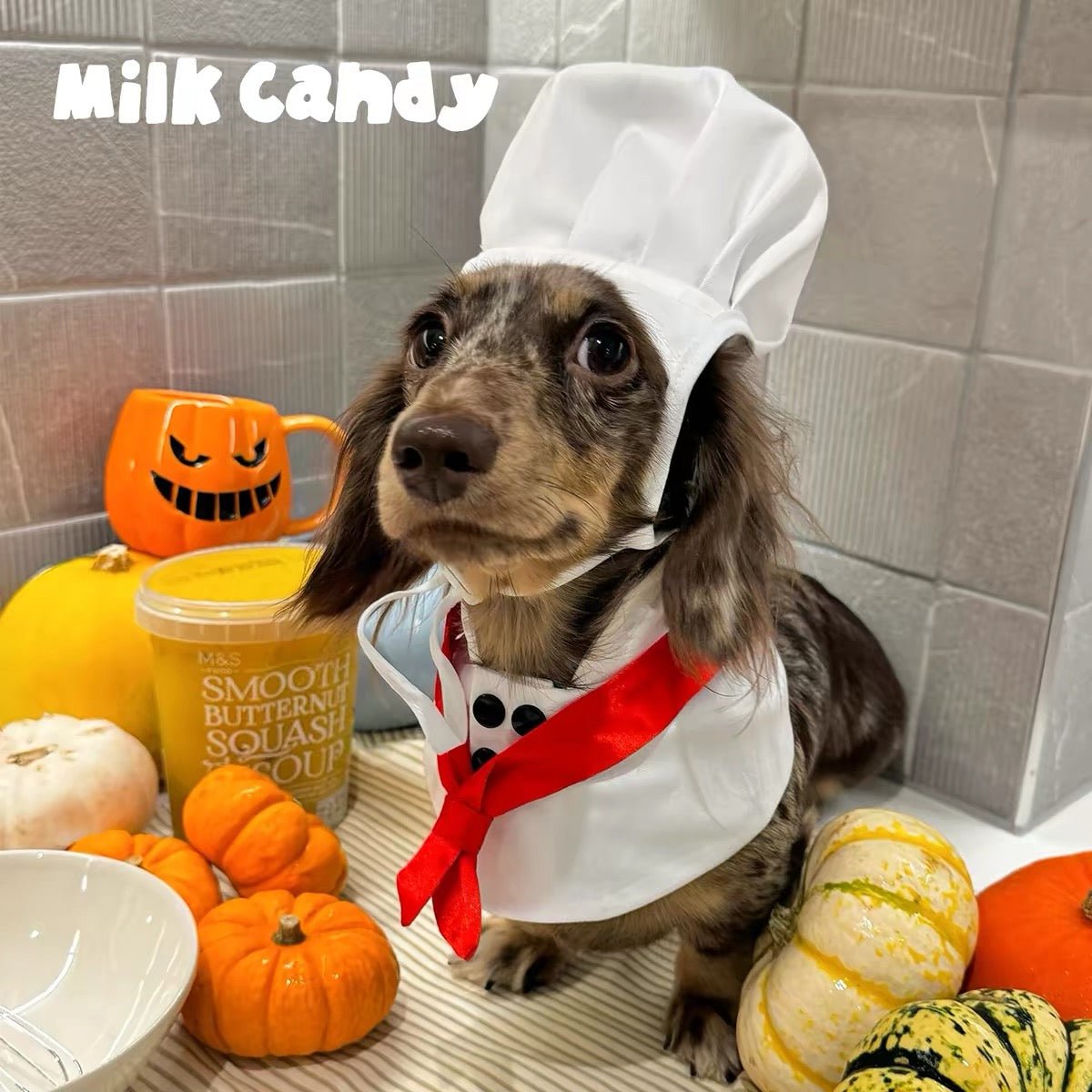 Little Chef Dog Costume Set - White Chef Hat & Apron Bib - Dapper Weenie Co