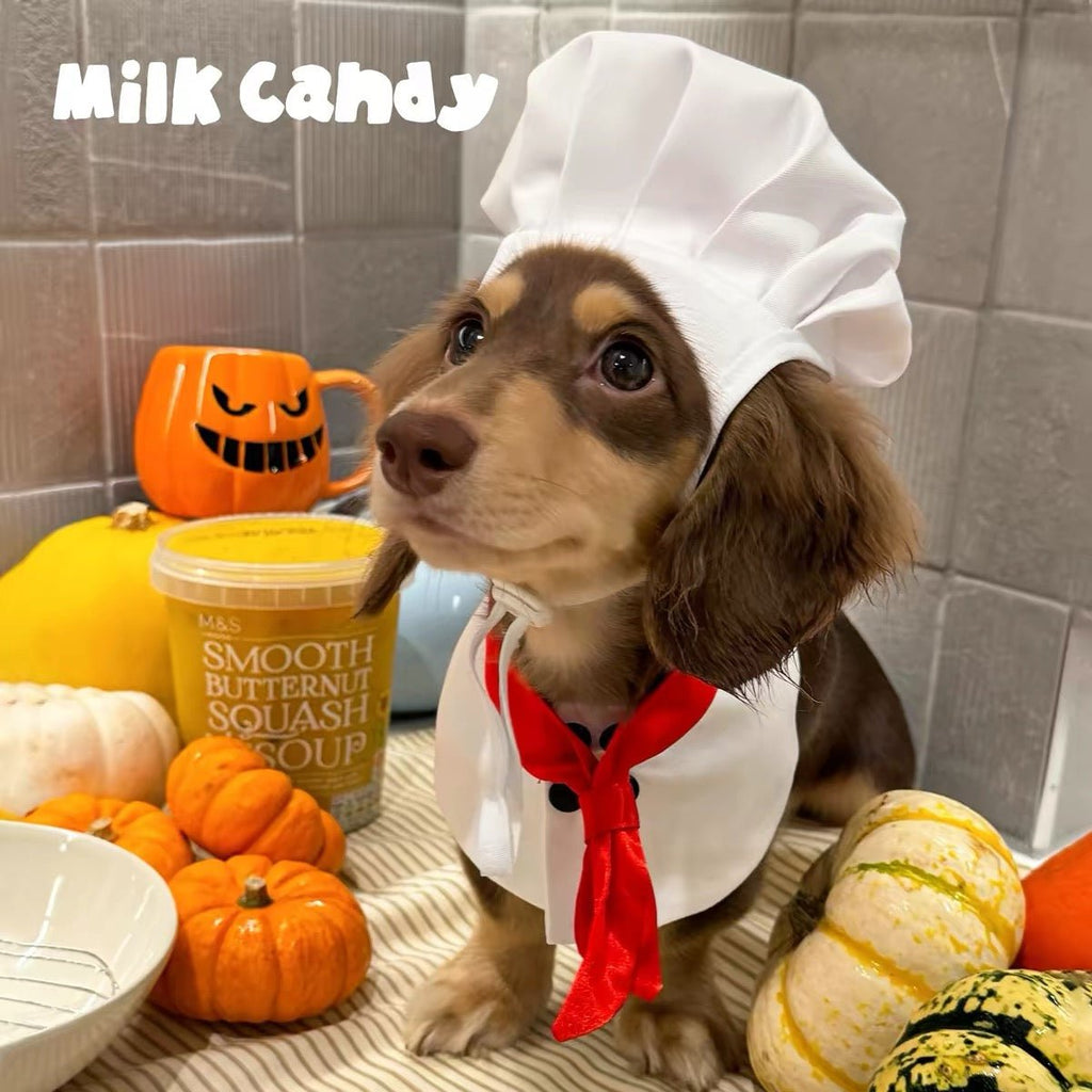 Little Chef Dog Costume Set - White Chef Hat & Apron Bib - Dapper Weenie Co
