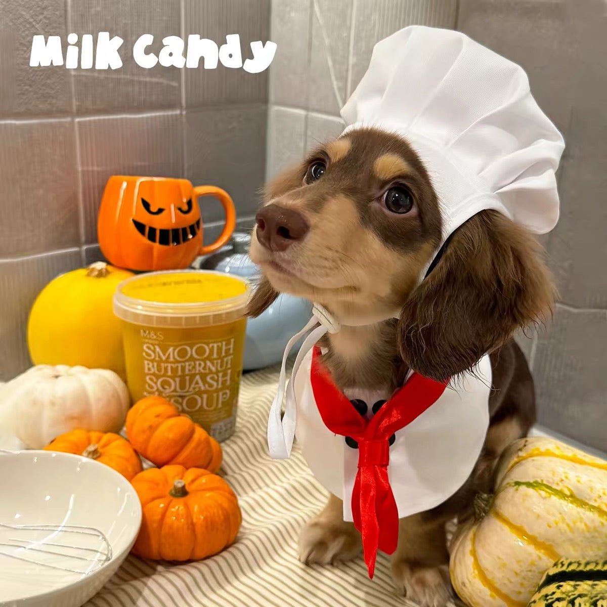Little Chef Dog Costume Set - White Chef Hat & Apron Bib - Dapper Weenie Co