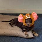 Plush Cartoon Mouse & Cat Pet Hat - Dapper Weenie Co