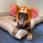 Plush Cartoon Mouse & Cat Pet Hat - Dapper Weenie Co
